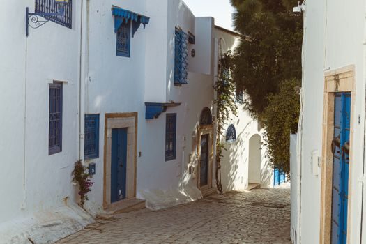 ruelle pavée de Sidi Bou Saïd avec façades blanches et portes bleues cloutées, bougainvilliers en fleur, lumière chaude de fin de matinée