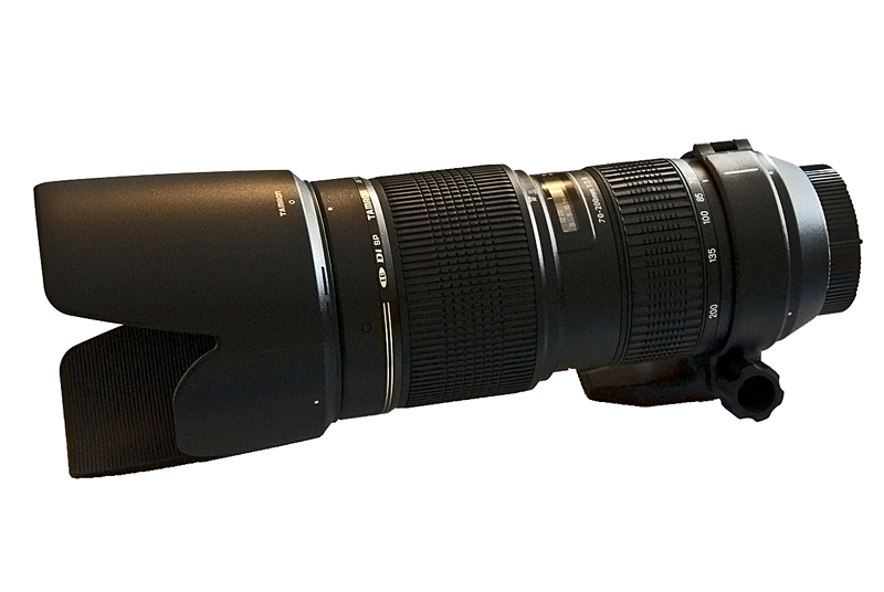 Tamron SP 70-200 f2.8 : Test Complet et Comparaison Terrain